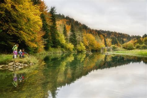 selva de irati verano|Selva de Irati (Navarra) Attraktionen und Bilder